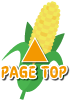 pagetop2